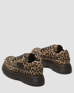Buzz 5-eye leopard shoes in Light Tan